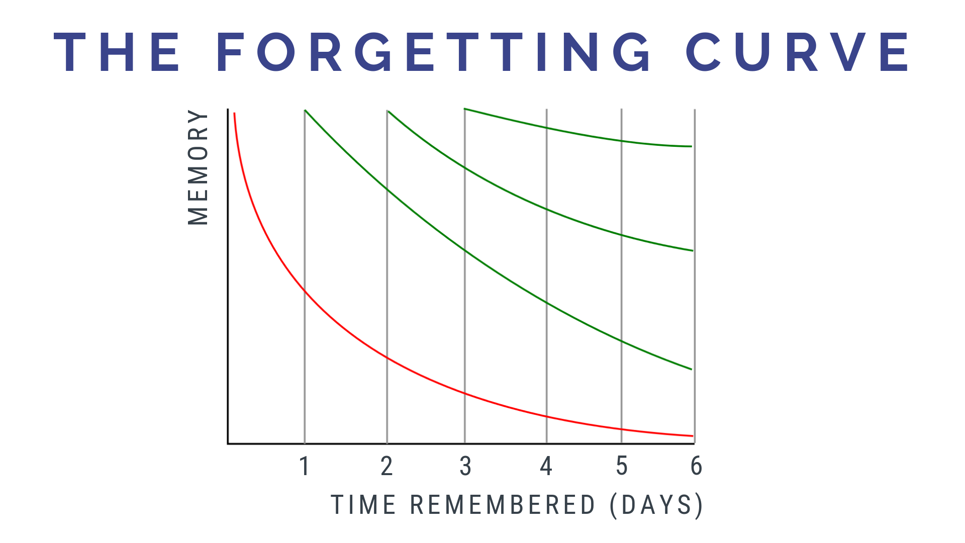 The Forgetting Curve: Language Learning